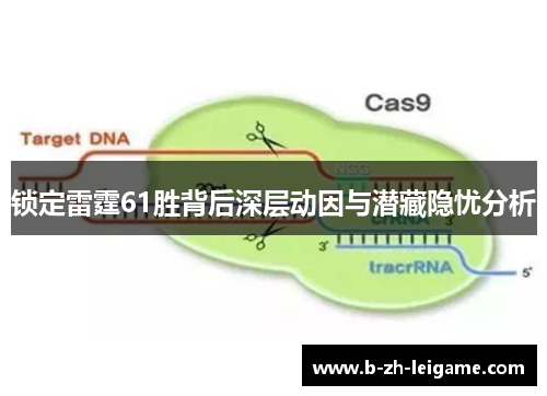 锁定雷霆61胜背后深层动因与潜藏隐忧分析
