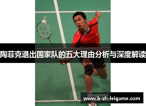 陶菲克退出国家队的五大理由分析与深度解读 陶菲克退出国家队的五大理由分析与深度解读