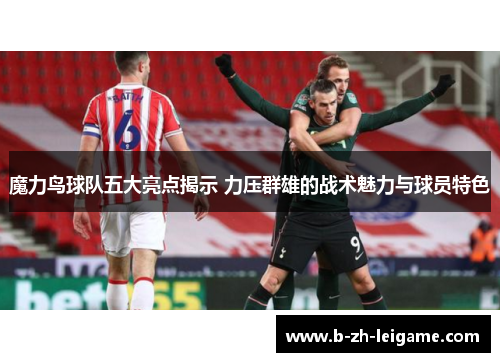 魔力鸟球队五大亮点揭示 力压群雄的战术魅力与球员特色